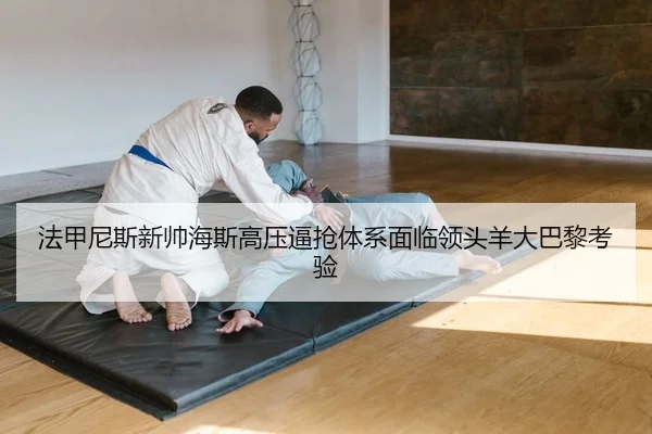 fa-jia-ni-si-xin-shuai-hai-si-gao-ya-bi-qiang-ti-xi-mian-lin-ling-tou-yang-da-ba-li-kao-yan-2-830.jpg